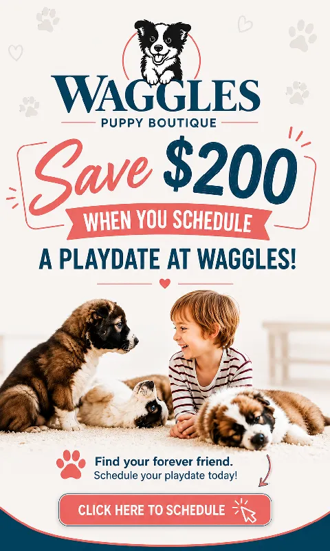 Save $200 dollars when you schedule a playdate at Waggles
