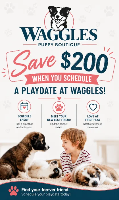Save $200 dollars when you schedule a playdate at Waggles