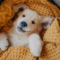 None